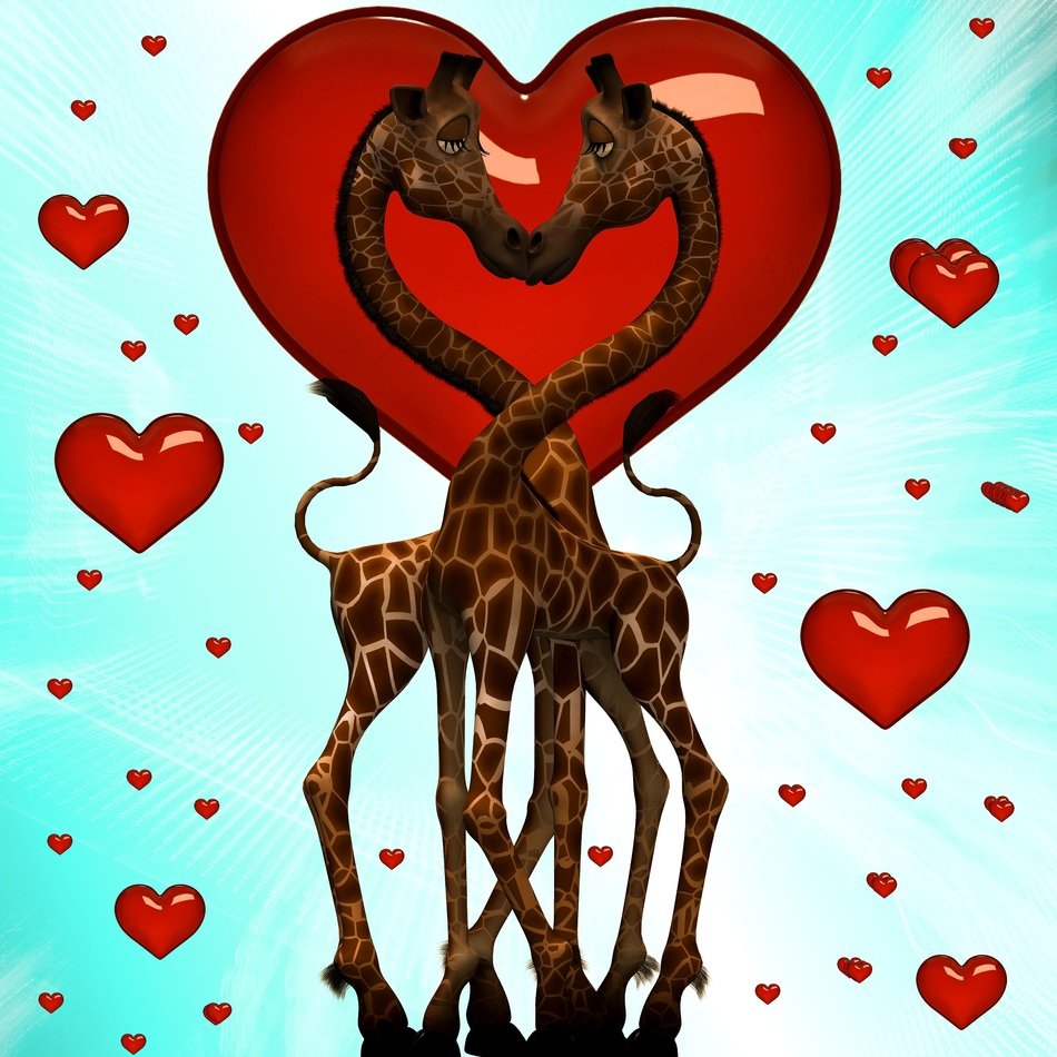 Love Heart Giraffe Together