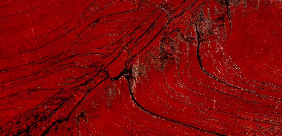 Timber Wood Texture