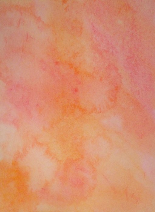 Pink Salmon Orange Tangerine