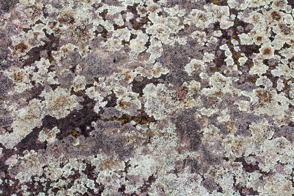 Background Texture Wall Weave