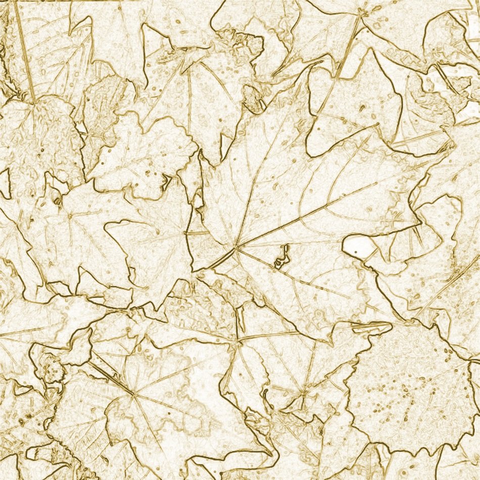 Background Leaves Semitransparent