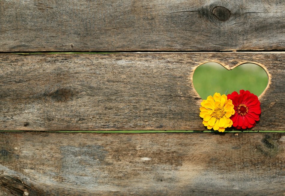 Postcard Heart Flowers Board