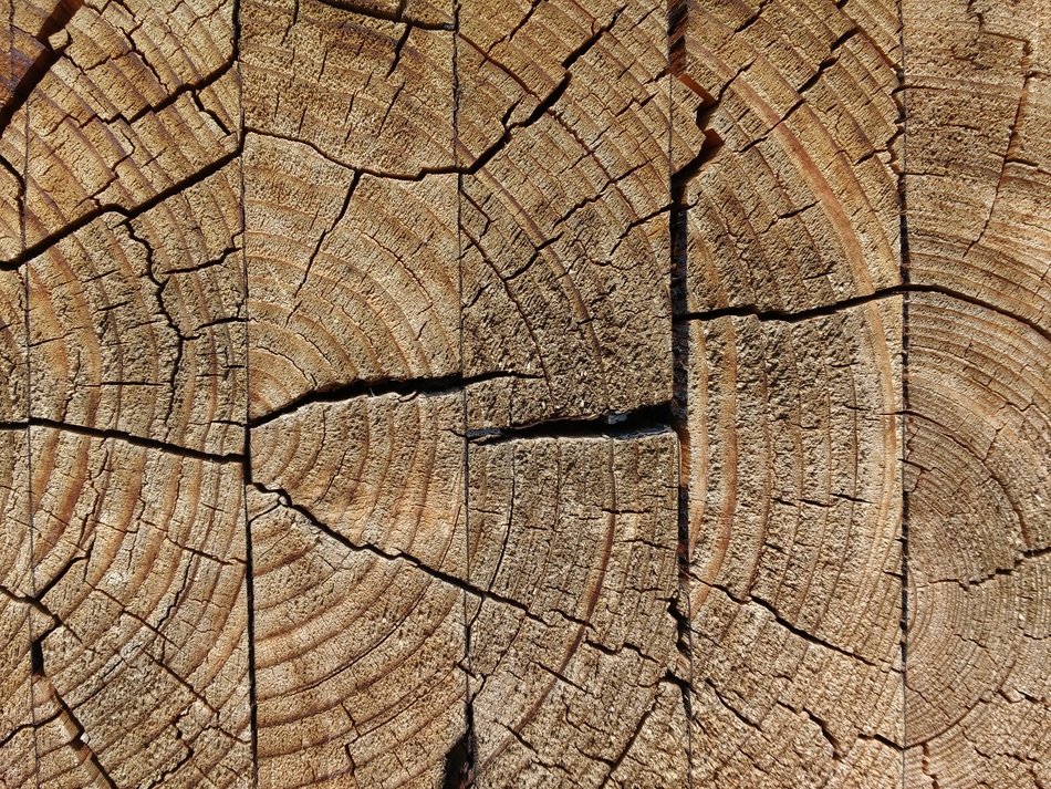 Wood Glued Weathered Jumped