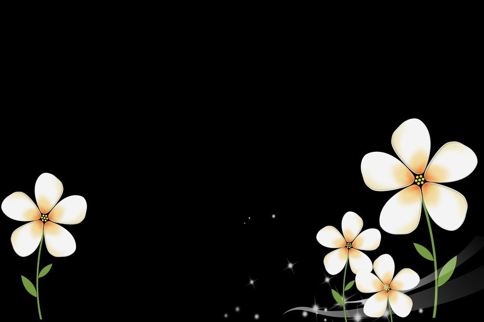 Literature And Art Little Flower