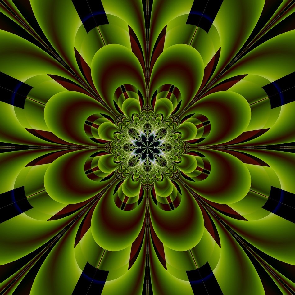 Abstract Flower Artwork Art
