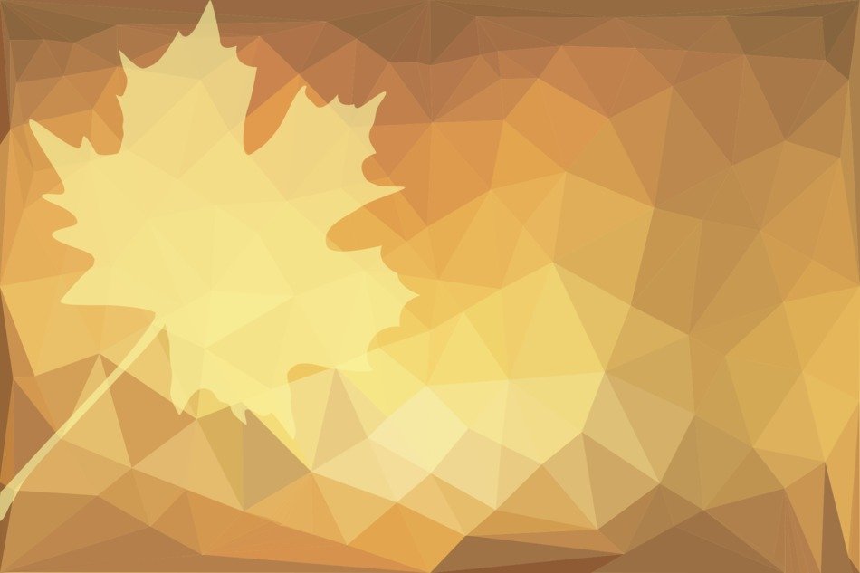 Autumn Leaf Maple Polygonal