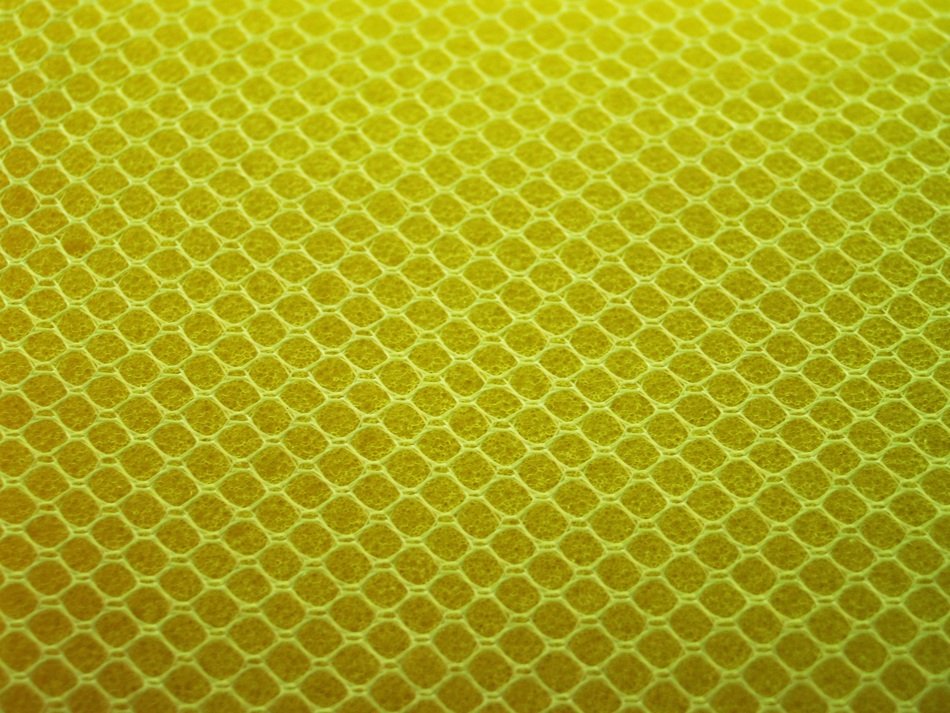 yellow sponge close up