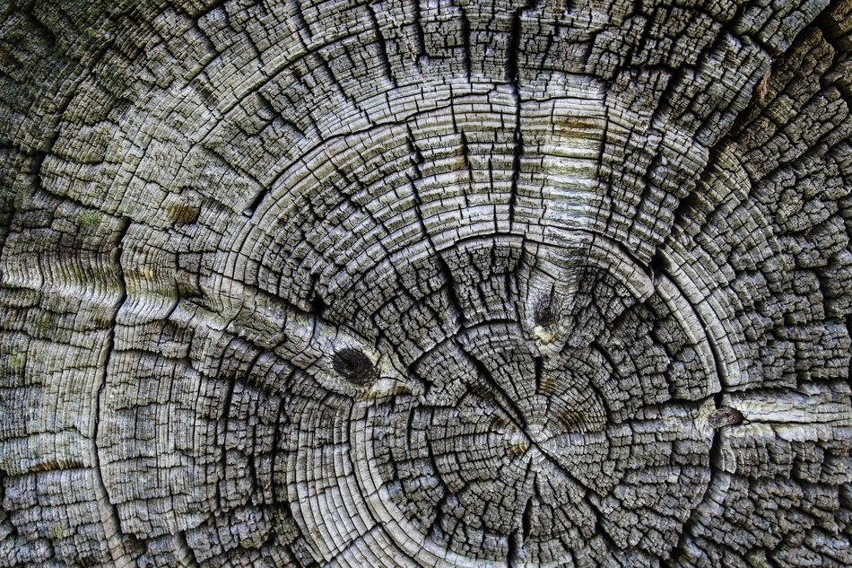 Wood Background Circle Old