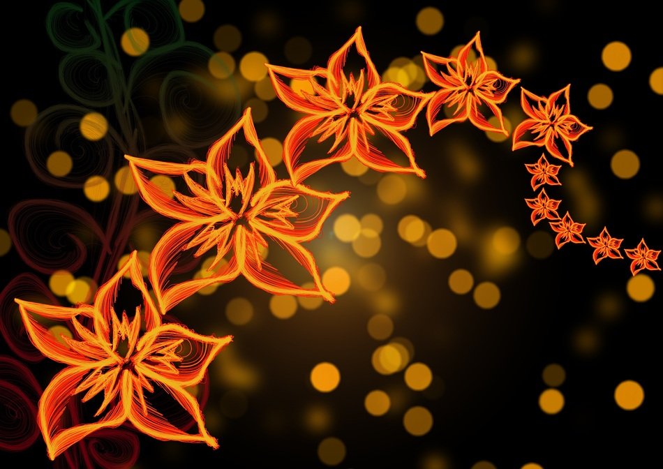 Flowers Background Bokeh Leaf