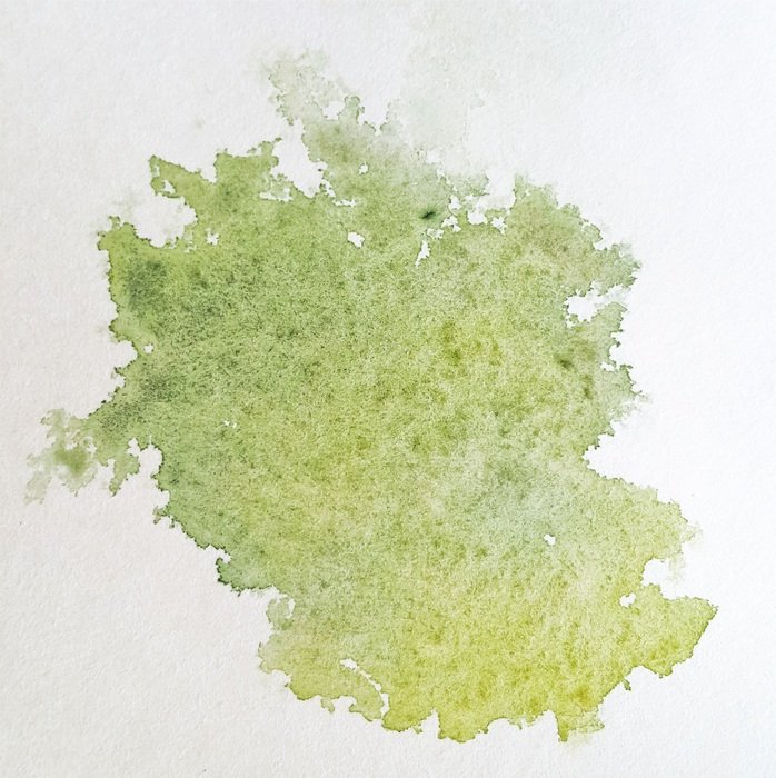 splash of green water on the white paper