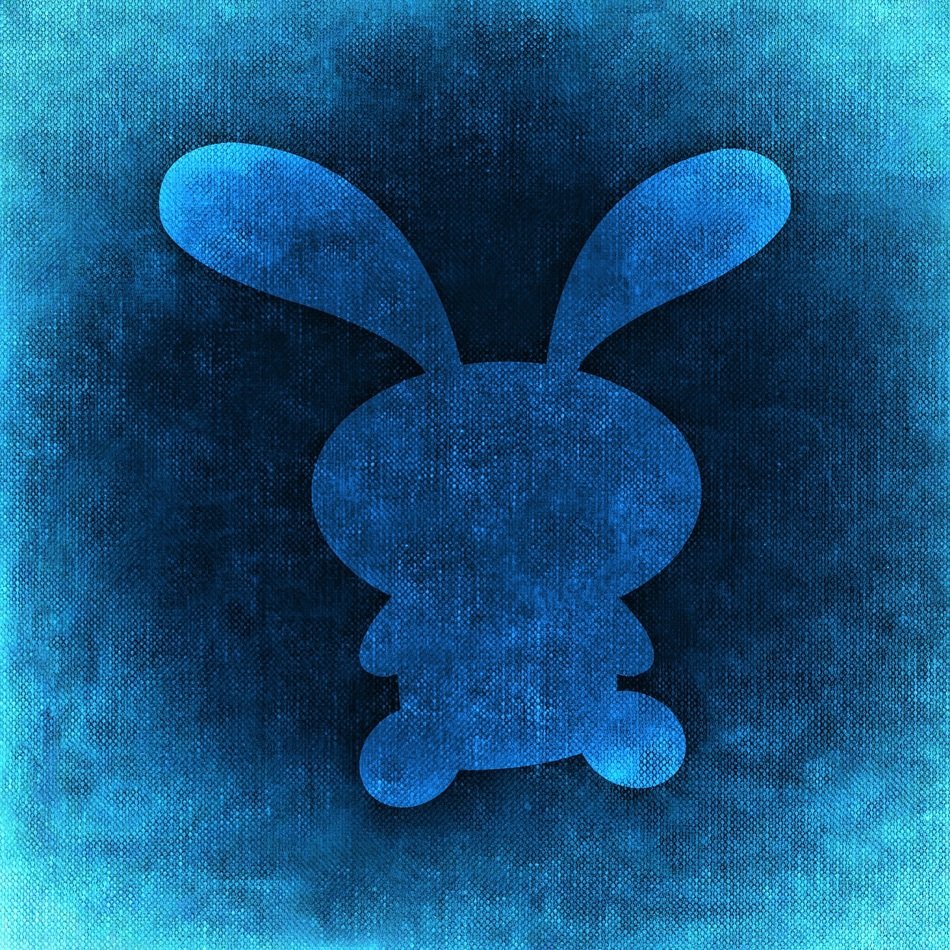 Hare Background Funny Cute Blue