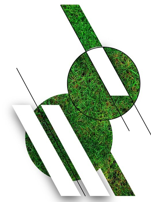 designer lawn image