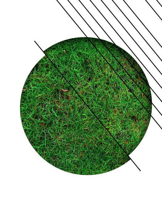 geometric design with the image of the grass