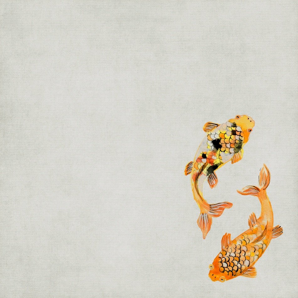 Background Koi Fish Scrapbook