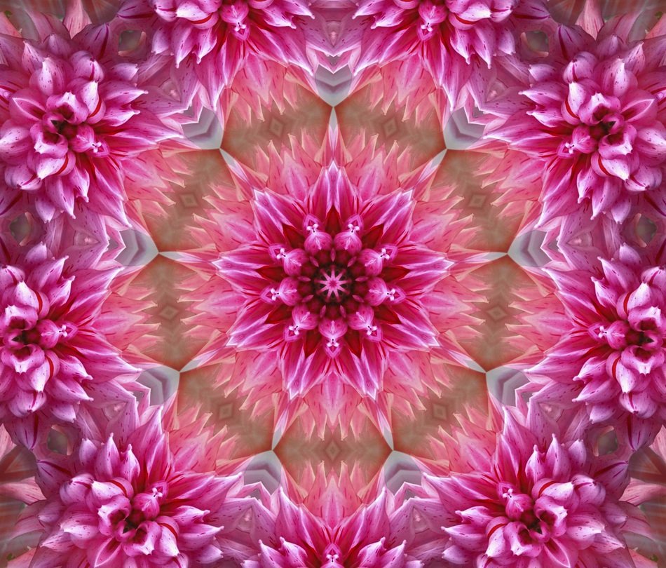 Flower Mandala Art Pink