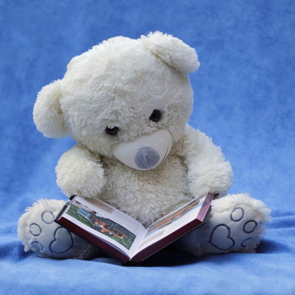 Still Life Teddy White Read