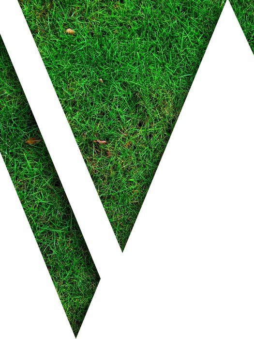 abstract image of a lawn