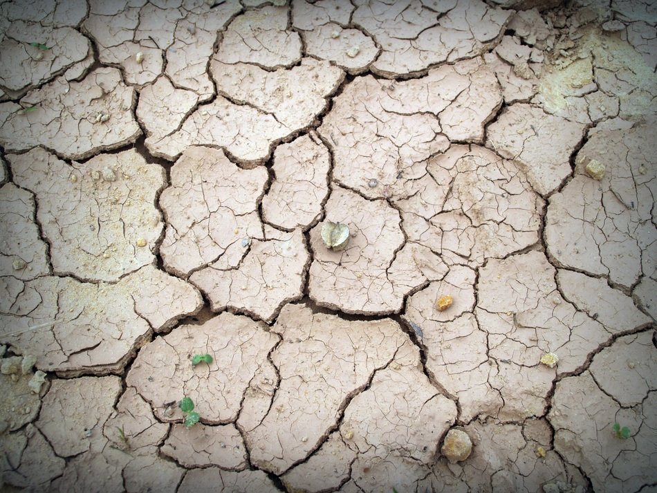 Soil Rough Earth Split Crack