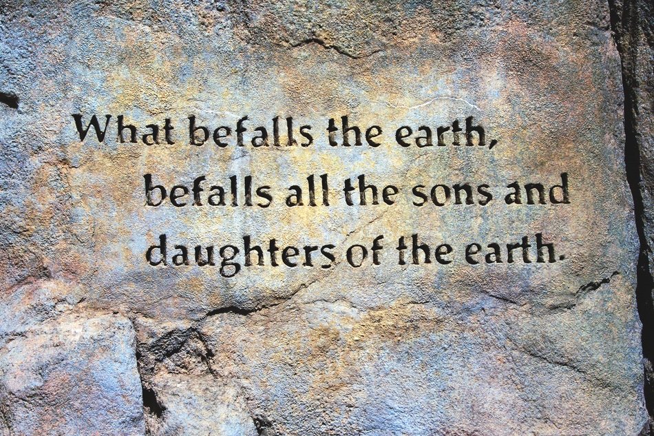 Befall The Earth Quote Rock Wall