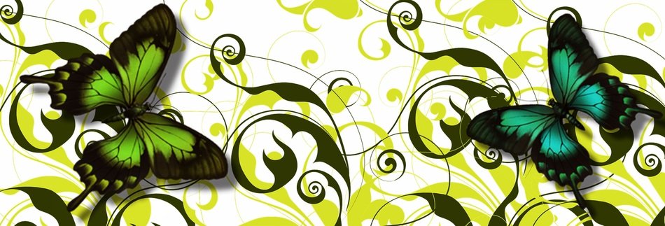 Banner Header Floral Butterfly