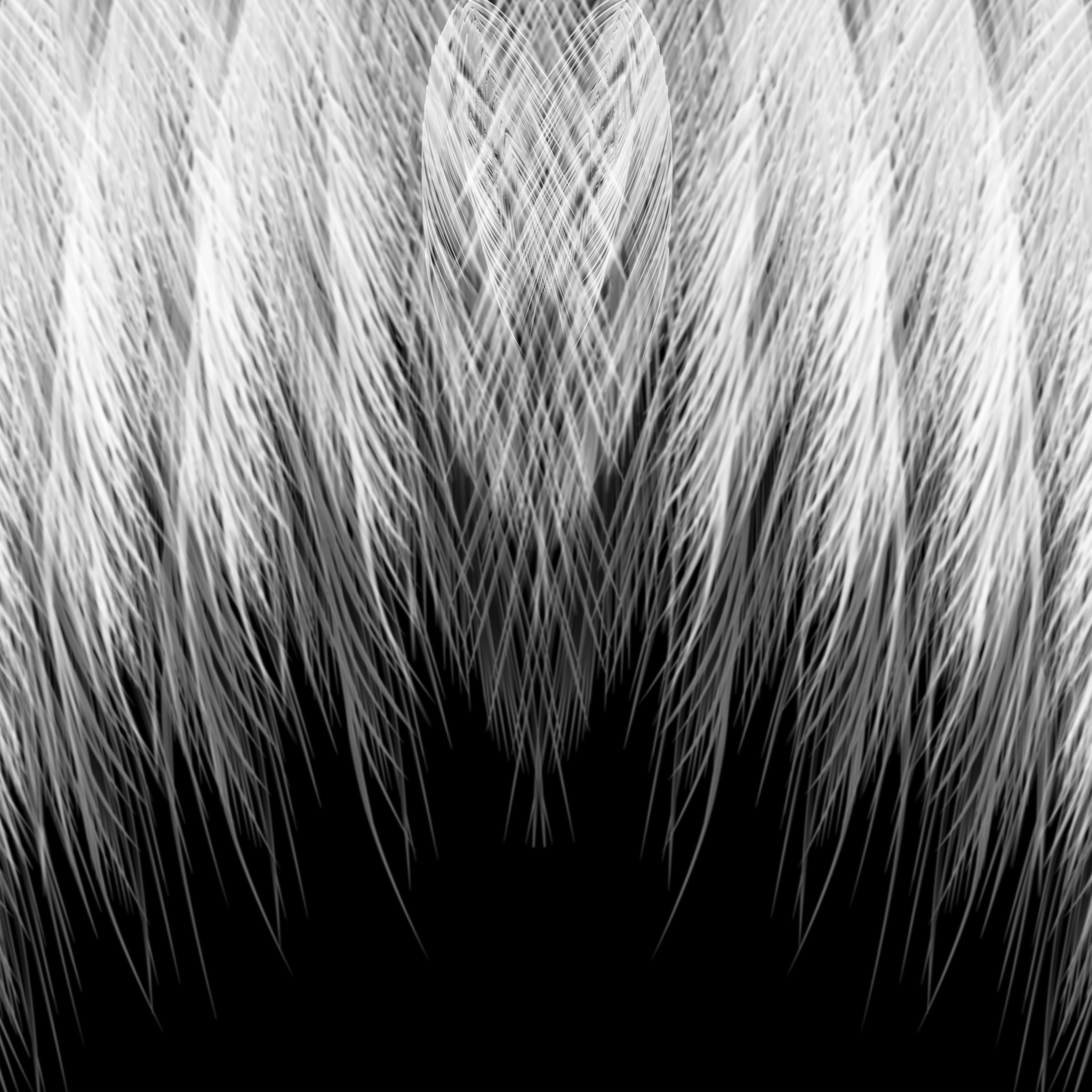 Текстура перьев для фотошопа