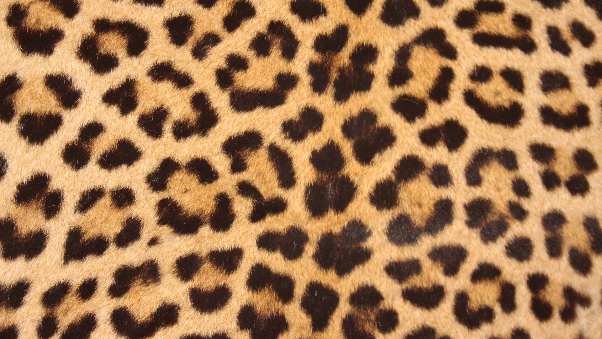 Леопардовая текстура