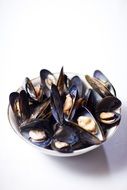 mussels in a plate on a white background