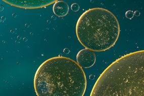 yellow oil stains on the water