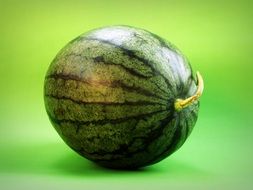 watermelon on a green background