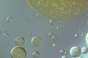 oily spots on gray background
