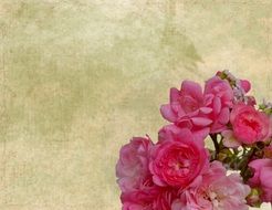 Stationery Background