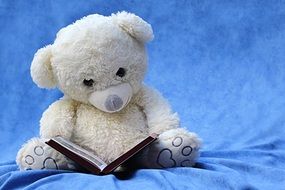 white teddy bear with a book