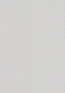 Background Guilloche Pattern