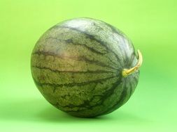 green watermelon on a green background