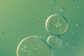 transparent oily spots on green water