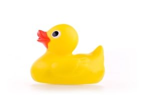 Toy Bath Rubber Duck Studio
