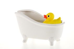 Duck Bath Water Floats Toy