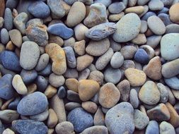 photo of small pebbles on the beach