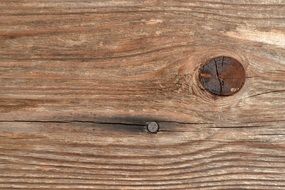 Node Whom Cracks Image Wood