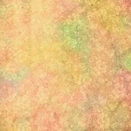 Texture Background Spring