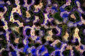 Abstract Color Beautiful