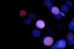 light bulbs on black background