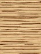Wood Mapple Texture