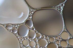 oil circles on the water