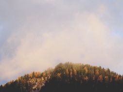 Sky Autumn Landscape Nature