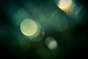 Bokeh Effect Green Texture