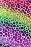 Abstract Macro Colourful Bubbles