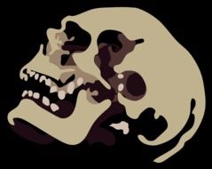 Background Detail Low Skull Tan