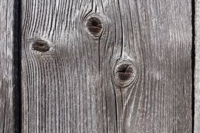 wooden board as background