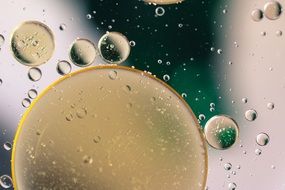 oil circles on a transparent surface